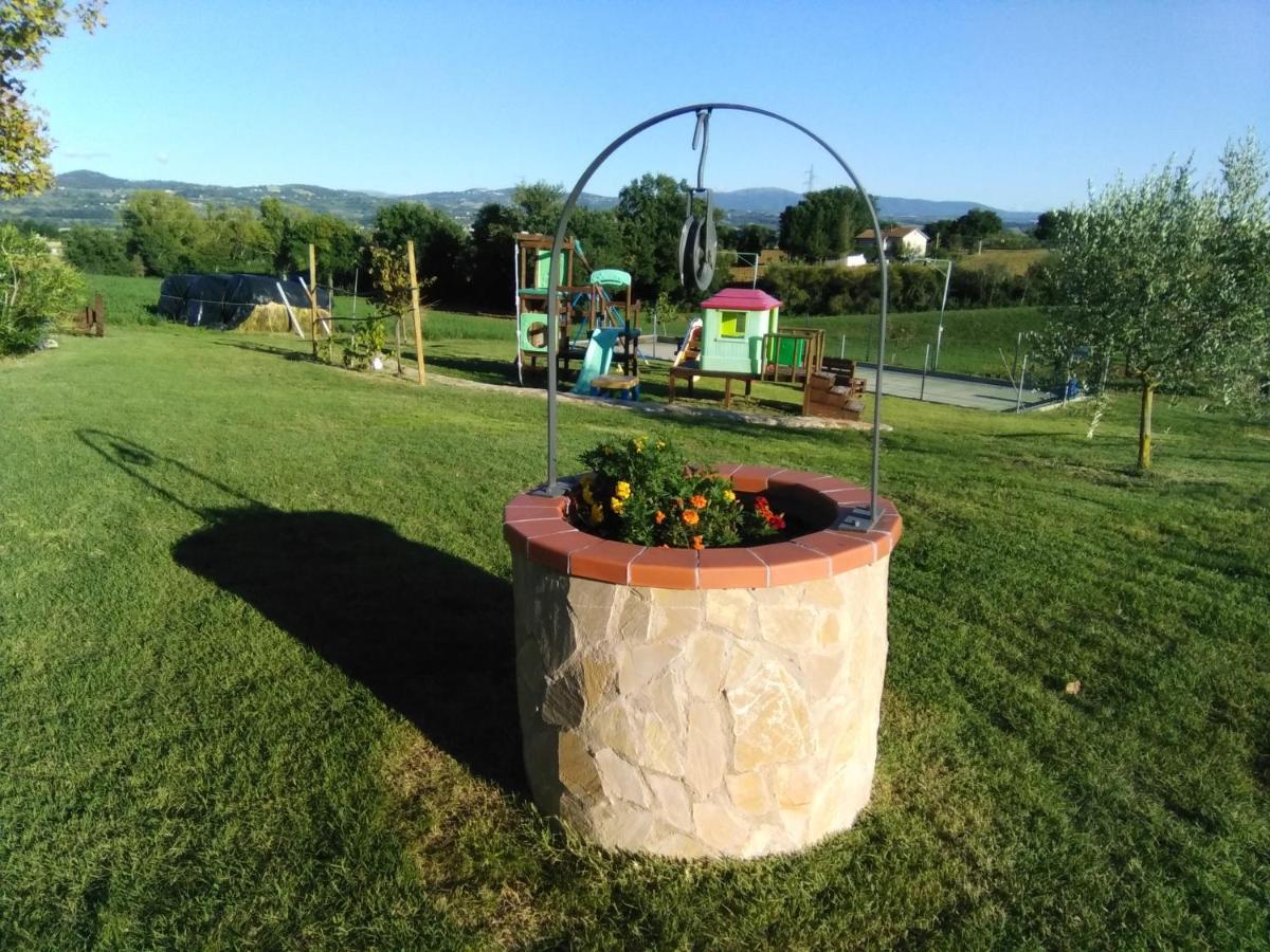 Agriturismo Consalvi Valentina Маршано Экстерьер фото