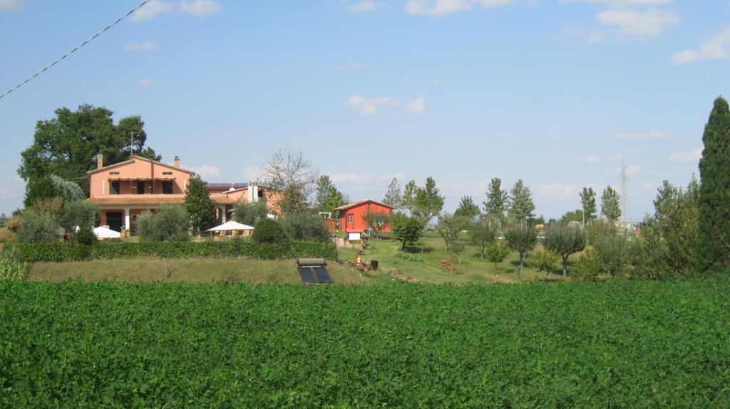 Agriturismo Consalvi Valentina Маршано Экстерьер фото